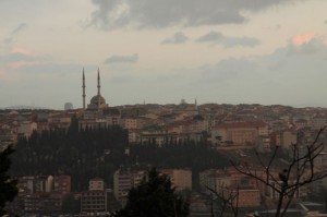 IMG_0795